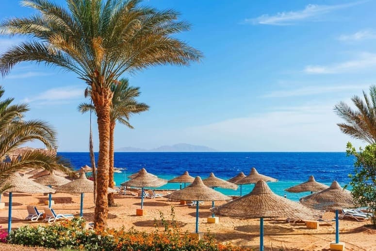 Paraíso del Sinaí (vuelo regular a Sharm El-sheij)